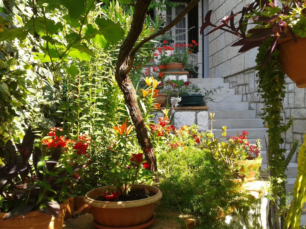 Rooms Cvetka Dubrownik Zewnętrze zdjęcie